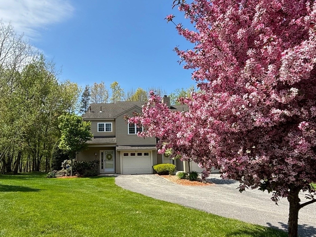 a view of a house with a yard and tree s