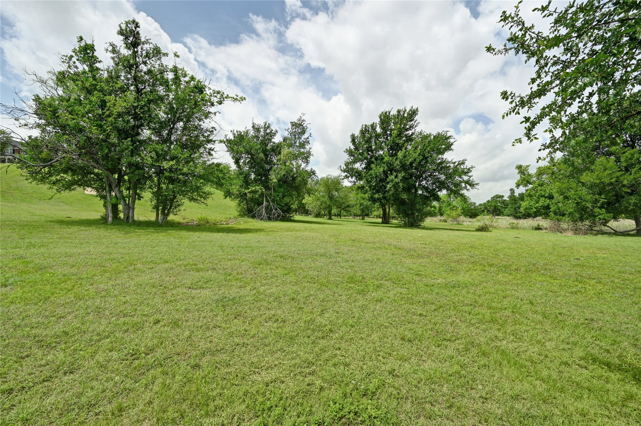 1700 Tanner Loop Taylor, TX 76574 - Photo 16 of 32 Expansive green lawn with established trees under a partly cloudy sky