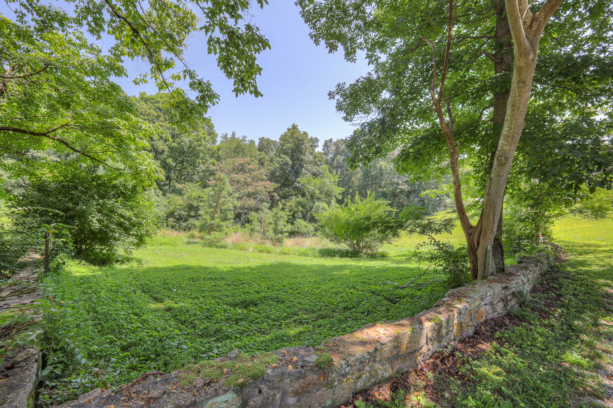 7125 Ivey Road Fairview, TN 37062 - Photo 52 of 98