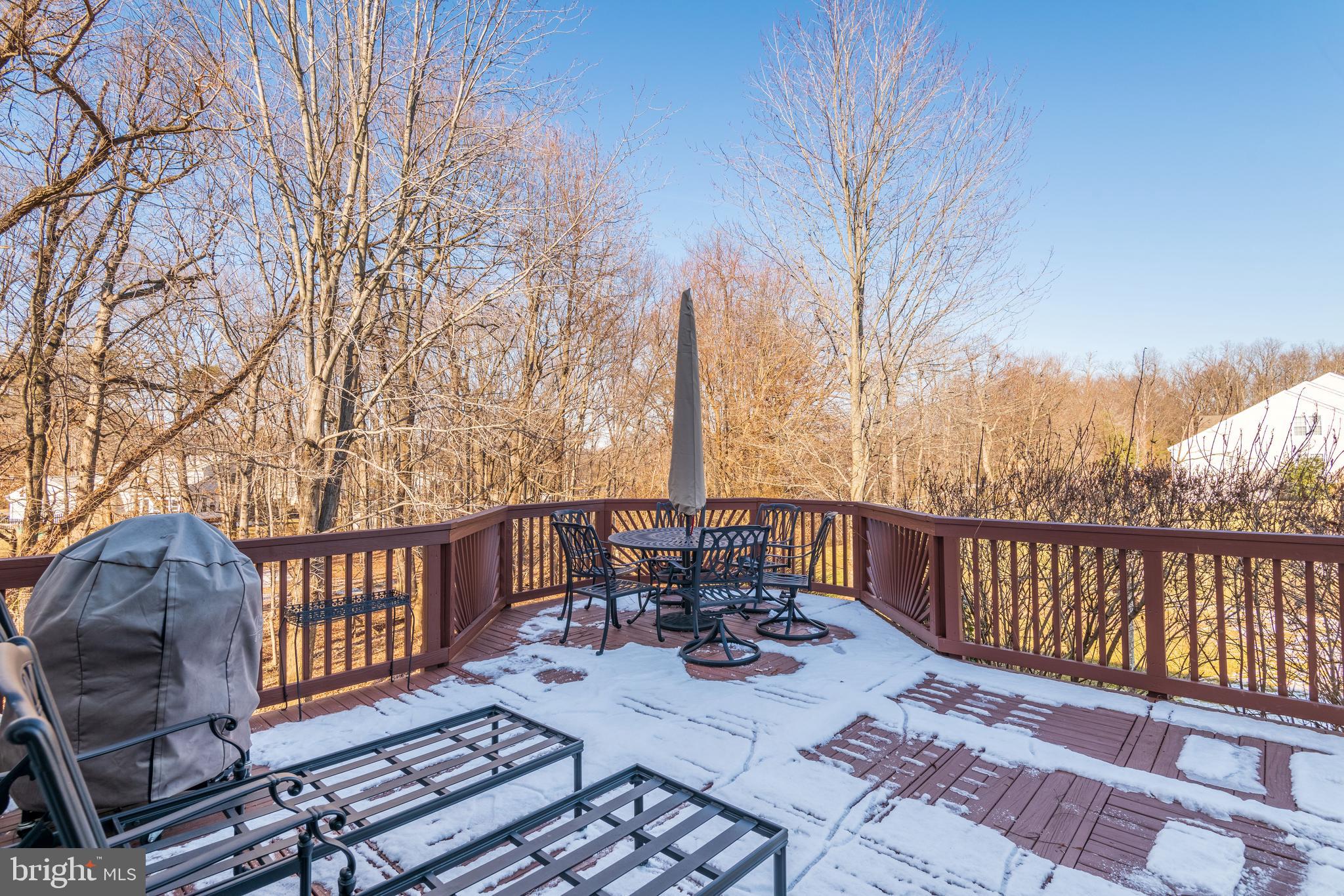 12368 Brown Fox Way Reston, VA 20191 - Photo 56 of 67 Lovely Views from the Deck