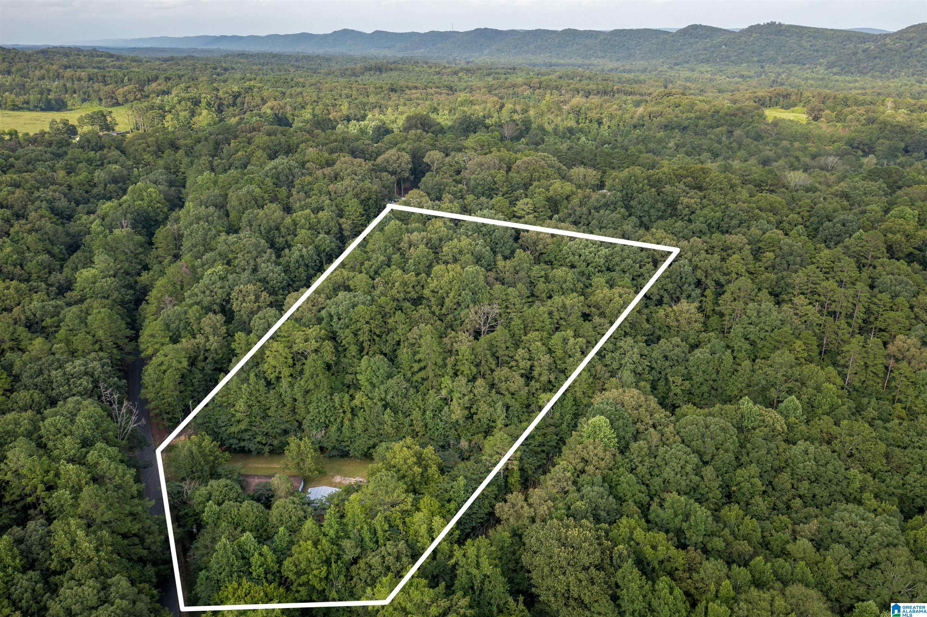 160 Mill Hill Road Attalla, AL 35954 - Photo 5 of 26