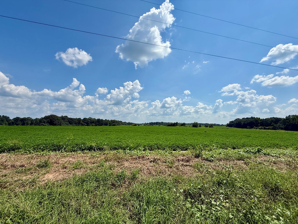 0 Judge Logue Road Newton, AL 36352 - Photo 9 of 10