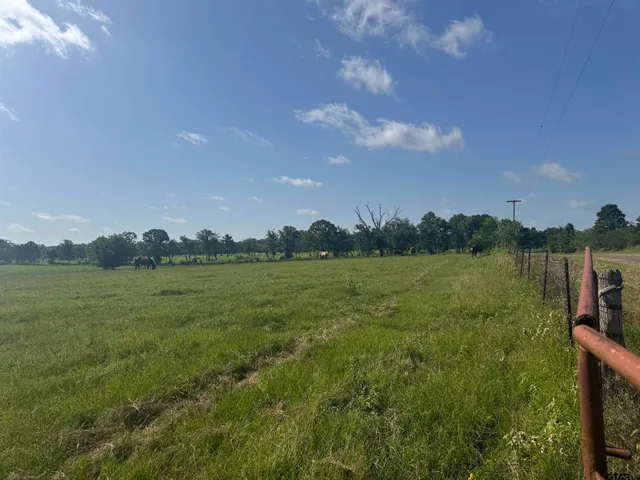 $1,700,000 | 302 County Road 4413, Ben Wheeler, TX 75754