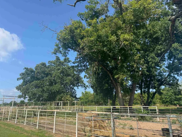 $1,700,000 | 302 County Road 4413, Ben Wheeler, TX 75754