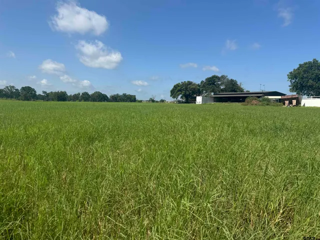 $1,700,000 | 302 County Road 4413, Ben Wheeler, TX 75754