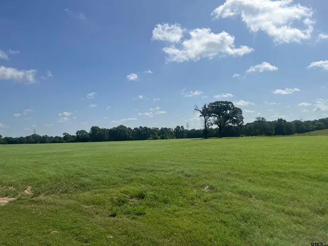 $1,700,000 | 302 County Road 4413, Ben Wheeler, TX 75754