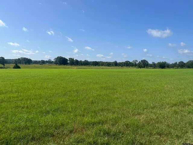 $1,700,000 | 302 County Road 4413, Ben Wheeler, TX 75754