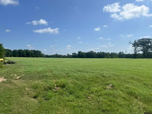 $1,700,000 | 302 County Road 4413, Ben Wheeler, TX 75754