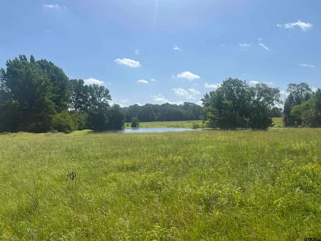 $1,700,000 | 302 County Road 4413, Ben Wheeler, TX 75754