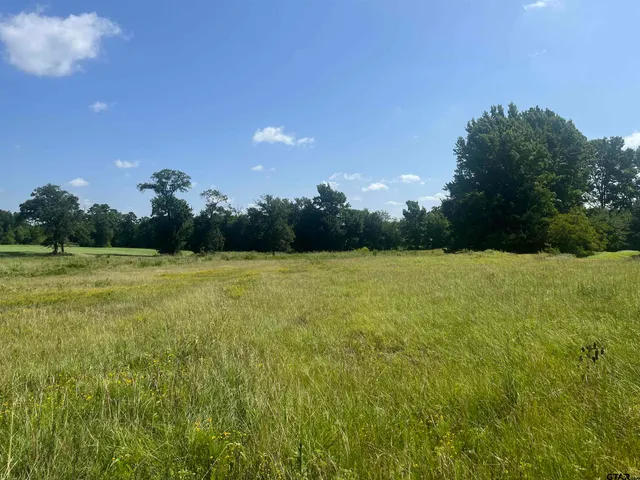 $1,700,000 | 302 County Road 4413, Ben Wheeler, TX 75754