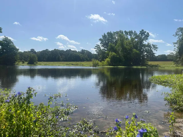 $1,700,000 | 302 County Road 4413, Ben Wheeler, TX 75754