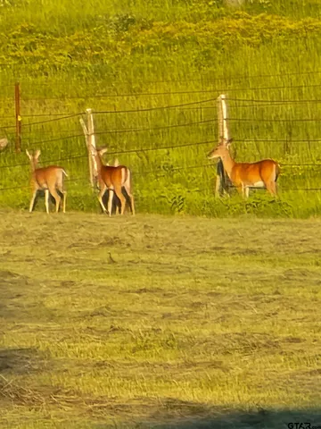 $1,700,000 | 302 County Road 4413, Ben Wheeler, TX 75754