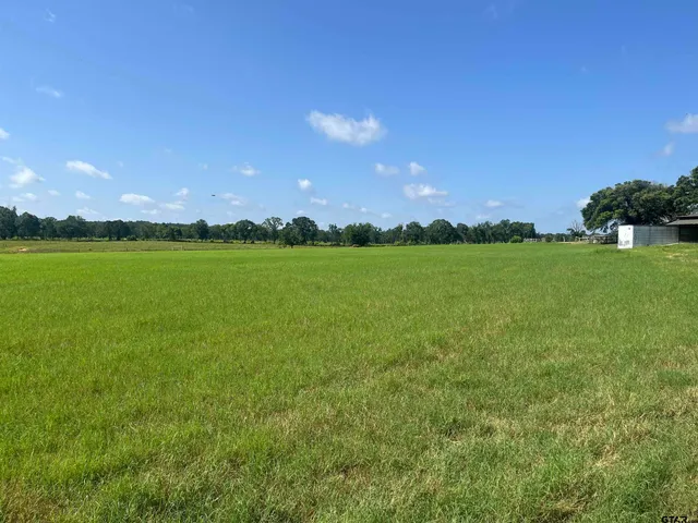 $1,700,000 | 302 County Road 4413, Ben Wheeler, TX 75754