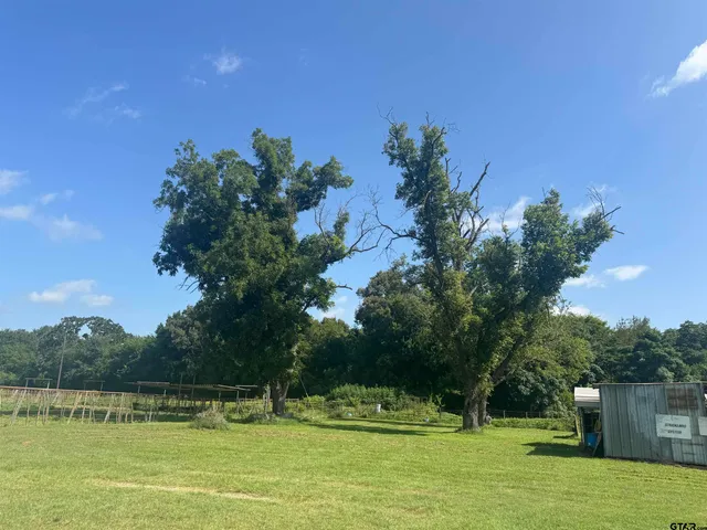 $1,700,000 | 302 County Road 4413, Ben Wheeler, TX 75754