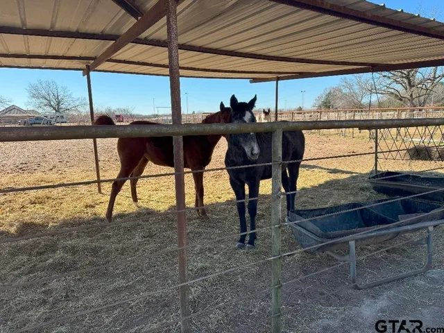 $1,700,000 | 302 County Road 4413, Ben Wheeler, TX 75754