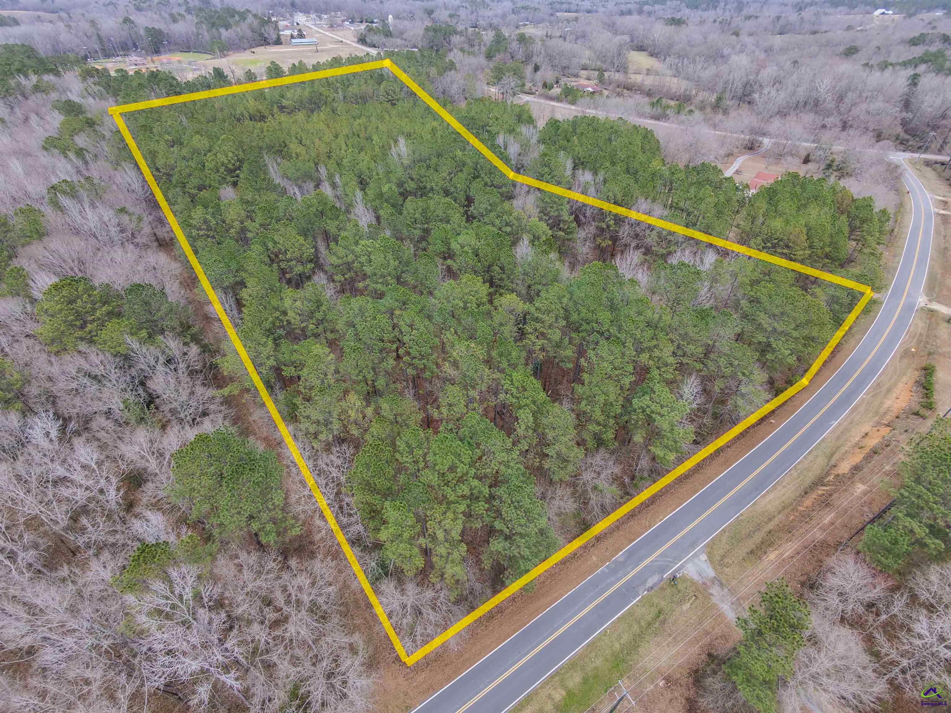12.6-acres Hicks Road Roberta, GA 31078 - Photo 10 of 17