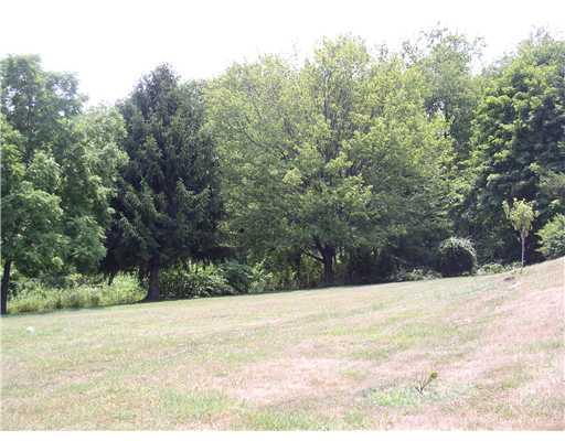 107 Striffler Road Economy, PA 15143 - Photo 3 of 18 Yard/Garden.