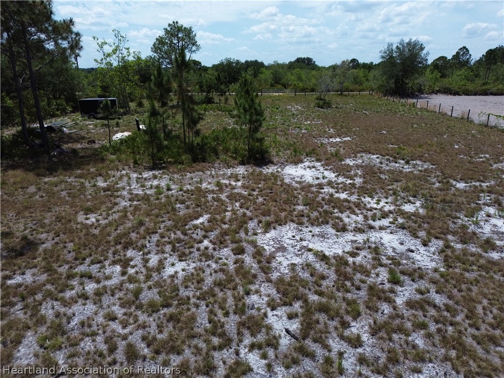 900 Ranchette Drive Lorida, FL 33857 - Photo 4 of 7 a view of a forest with trees in the background