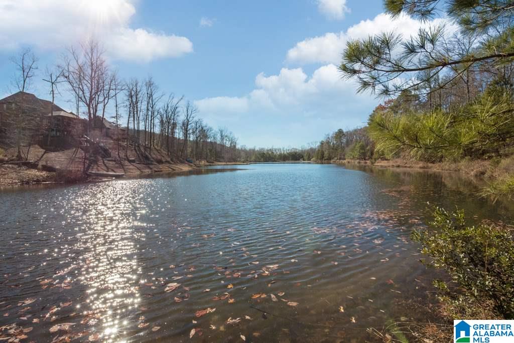 4005 Laurel Lakes Way Helena, AL 35022 - Photo 35 of 35