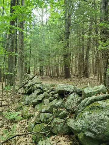 $49,000 | 0 Monadnock Highway, Swanzey, NH 03446