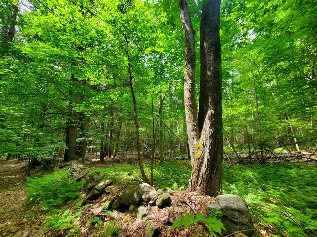 $49,000 | 0 Monadnock Highway, Swanzey, NH 03446