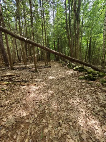 $49,000 | 0 Monadnock Highway, Swanzey, NH 03446