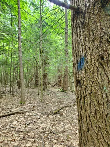 $49,000 | 0 Monadnock Highway, Swanzey, NH 03446