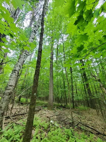 $49,000 | 0 Monadnock Highway, Swanzey, NH 03446