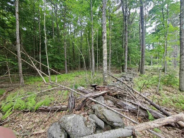 $49,000 | 0 Monadnock Highway, Swanzey, NH 03446