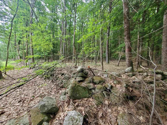 $49,000 | 0 Monadnock Highway, Swanzey, NH 03446