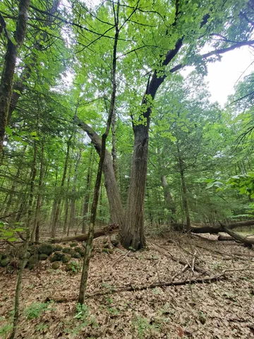 $49,000 | 0 Monadnock Highway, Swanzey, NH 03446