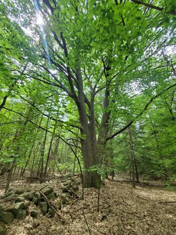 $49,000 | 0 Monadnock Highway, Swanzey, NH 03446