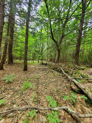 $49,000 | 0 Monadnock Highway, Swanzey, NH 03446