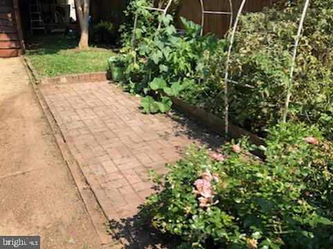 3622 Roland Avenue Baltimore, MD 21211 - Photo 8 of 38 Garden