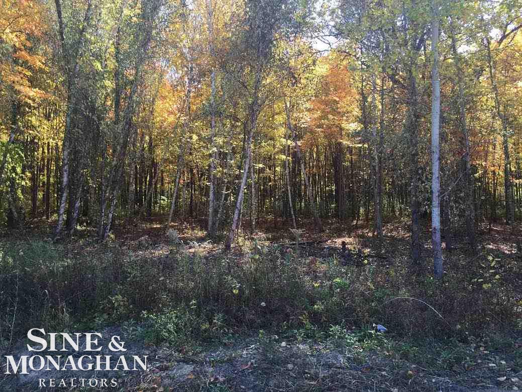 0 Fruit Road, Unit PARCEL D Algonac, MI 48001 - Photo 2 of 3