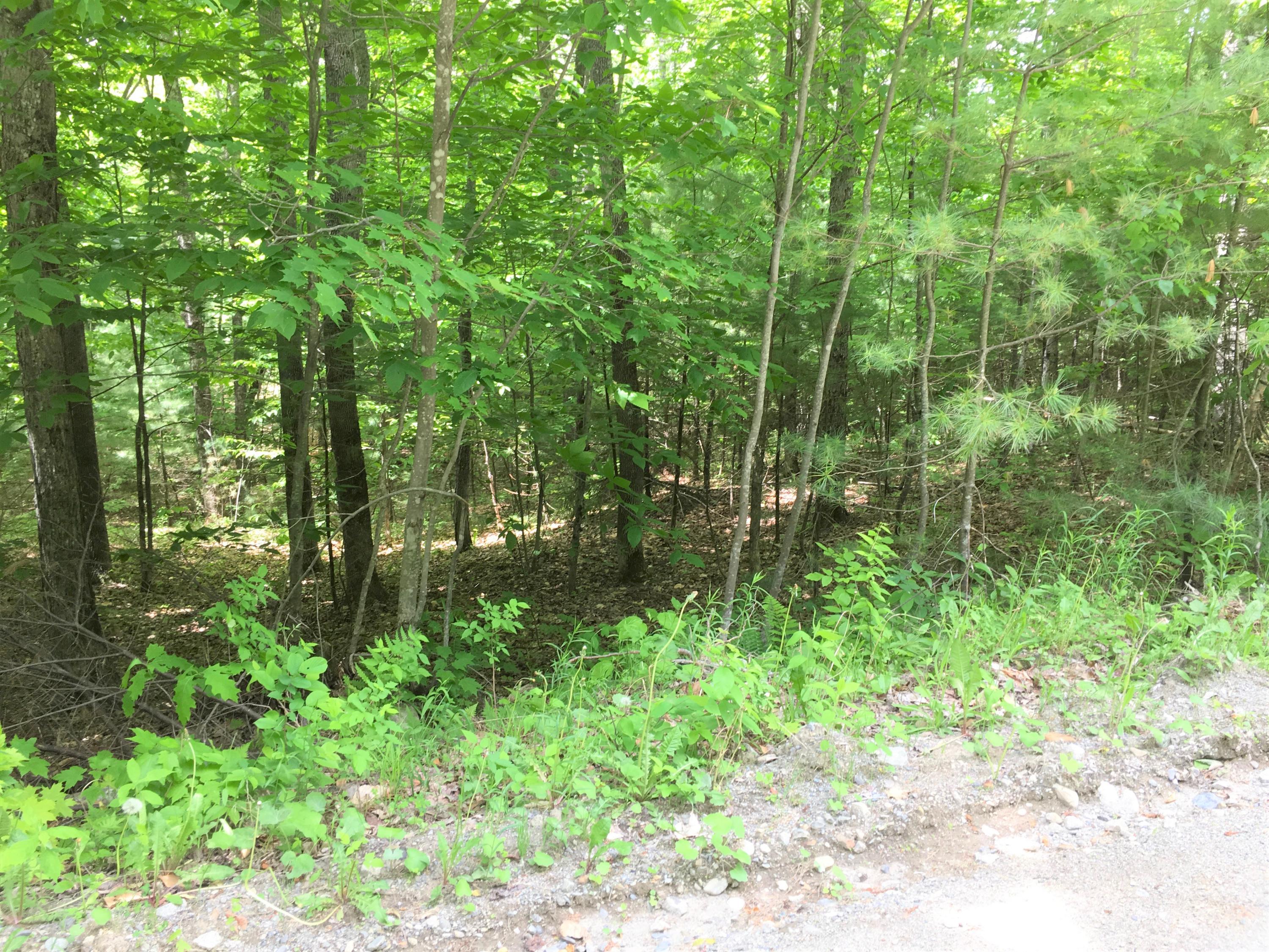 M12-l7 Iron Bridge Road Kingfield, ME 04947 - Photo 3 of 4 IMG_1657