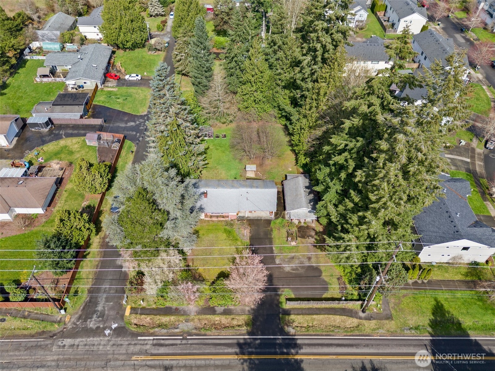 4606 15th Avenue Northeast Olympia, WA 98516 - Photo 15 of 17 an aerial view of residential houses with outdoor space