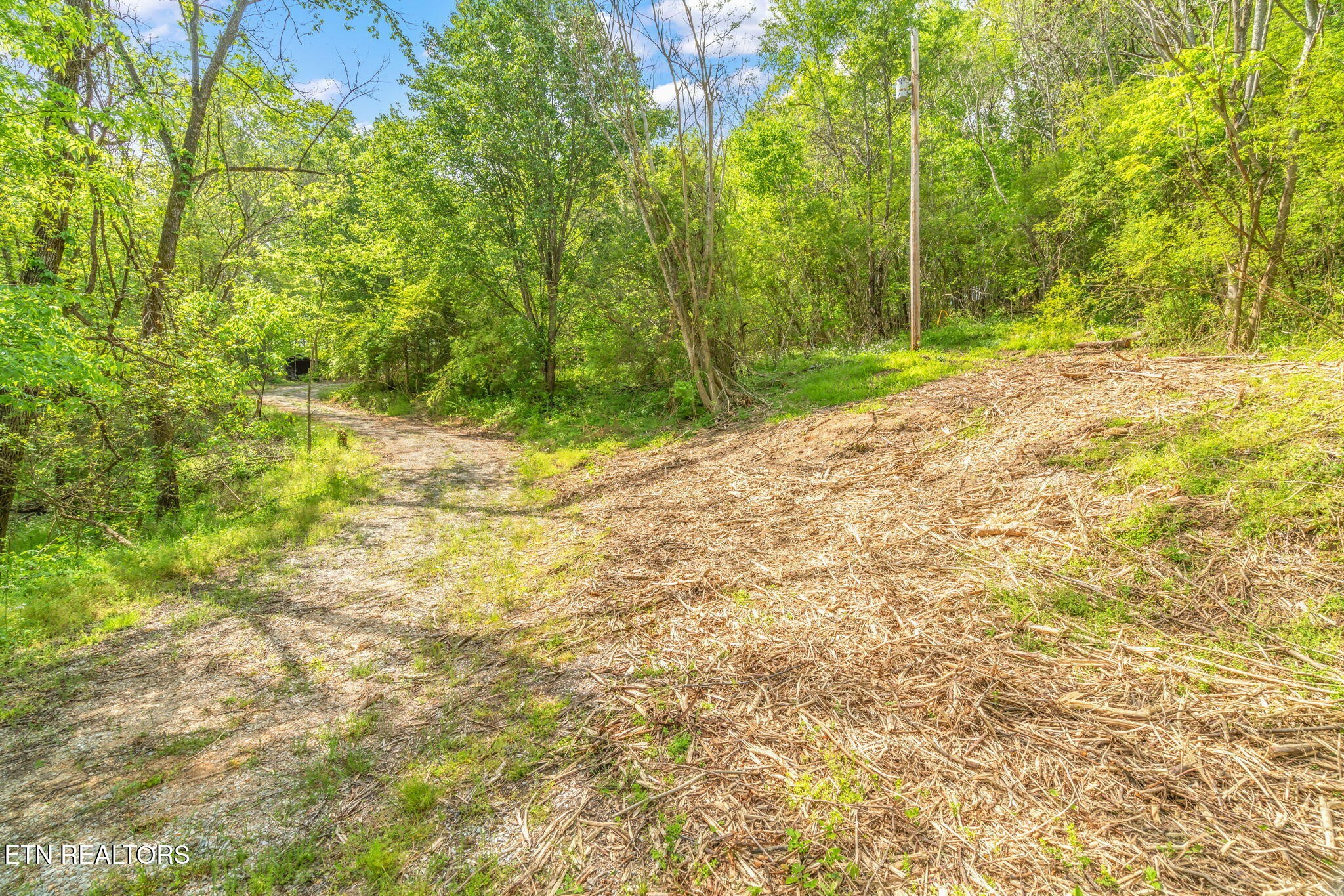 122 Cove Hollow Road La Follette, TN 37766 - Photo 41 of 58 Gallery Image 41
