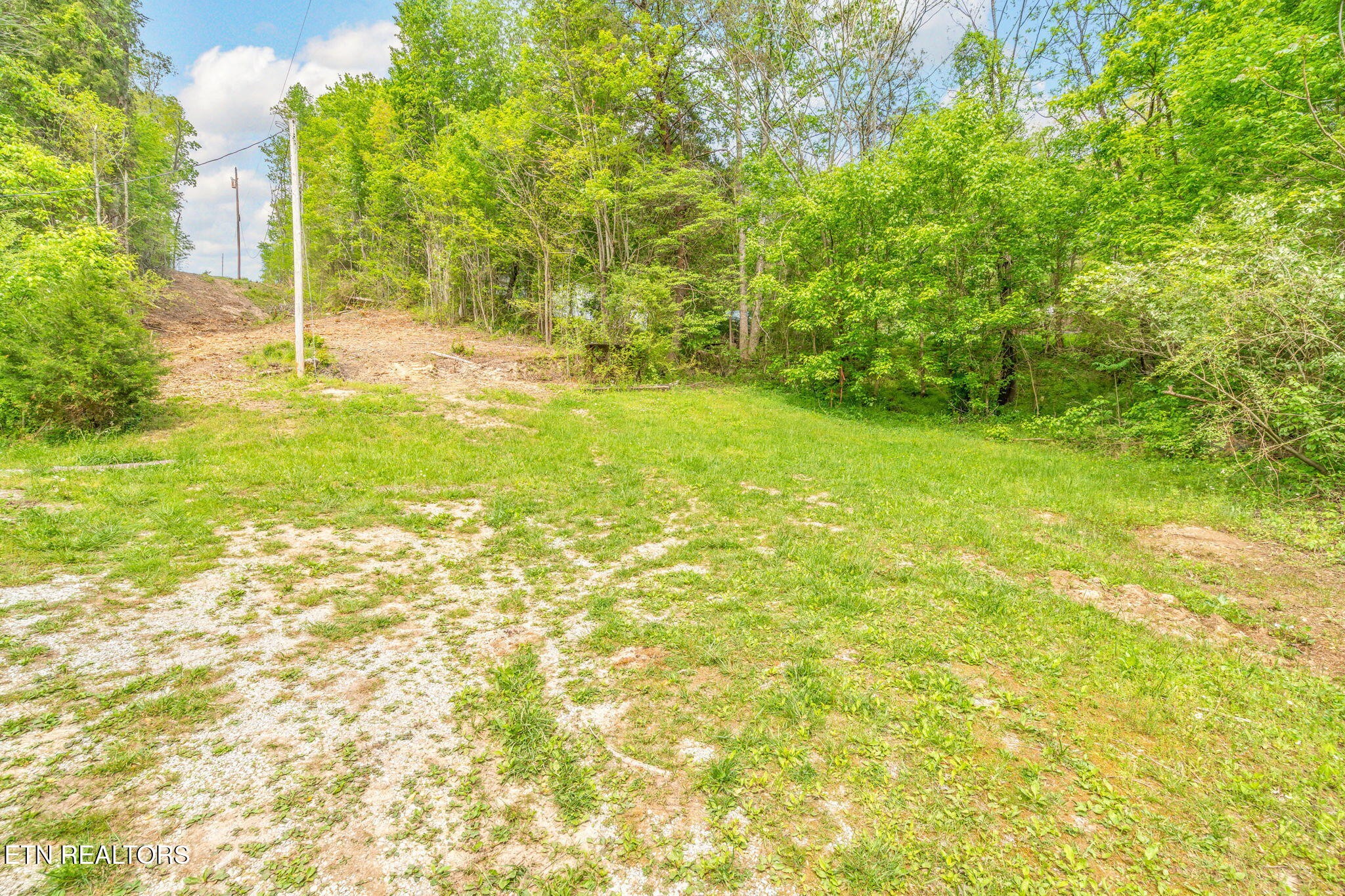 122 Cove Hollow Road La Follette, TN 37766 - Photo 8 of 58 Gallery Image 8
