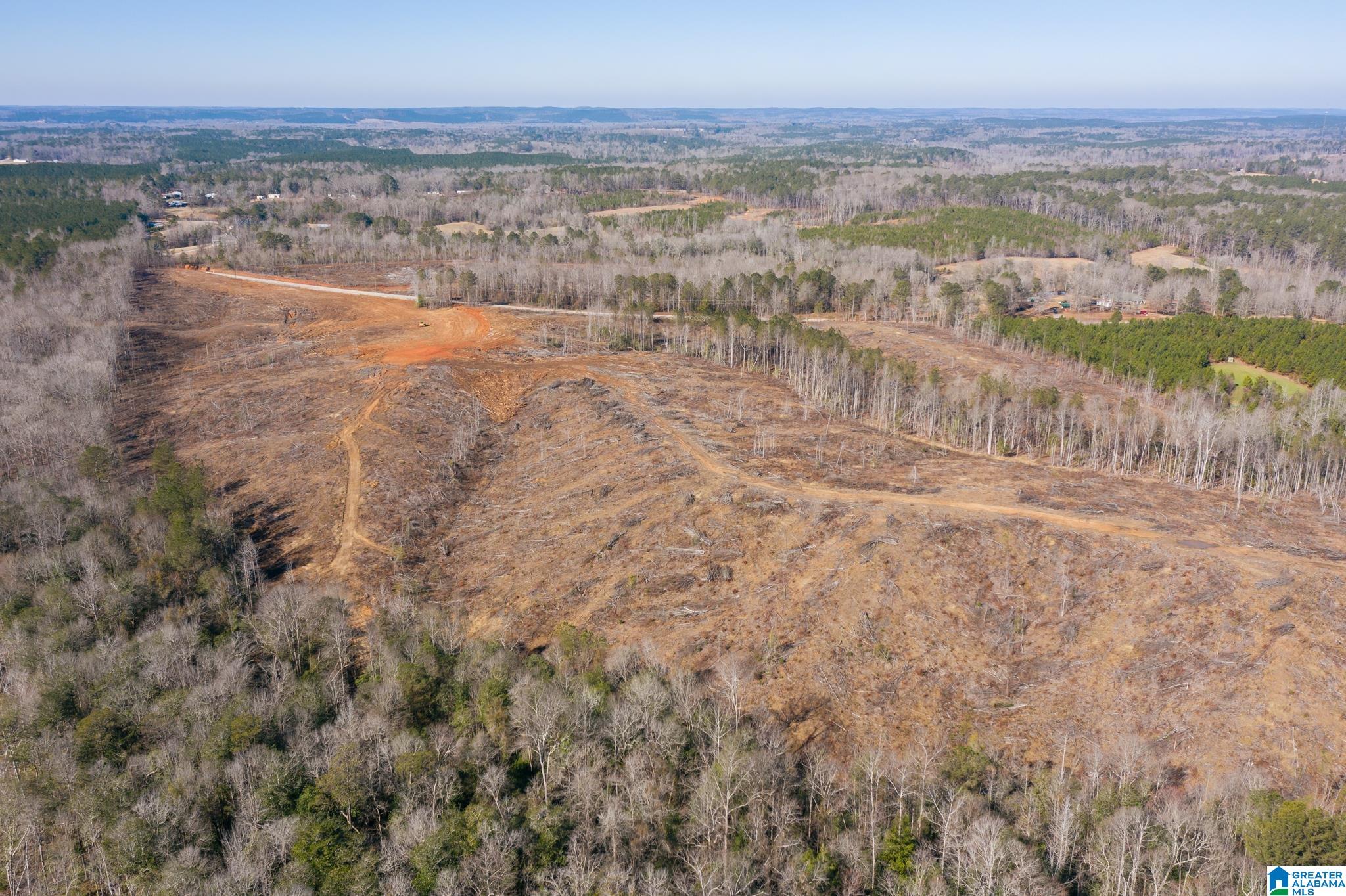 0 Harless Road Northport, AL 35475 - Photo 23 of 34