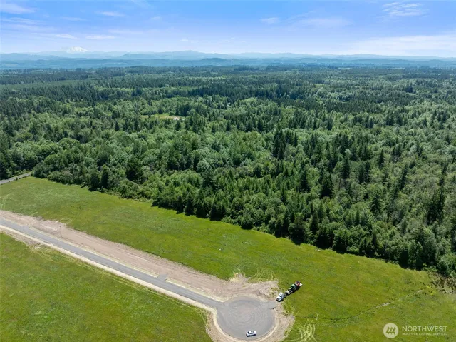 a view of a city with lush green forest