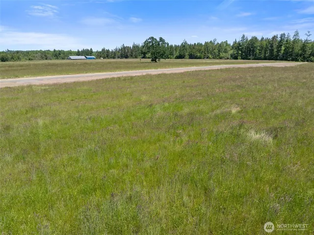 a view of a lake with a city