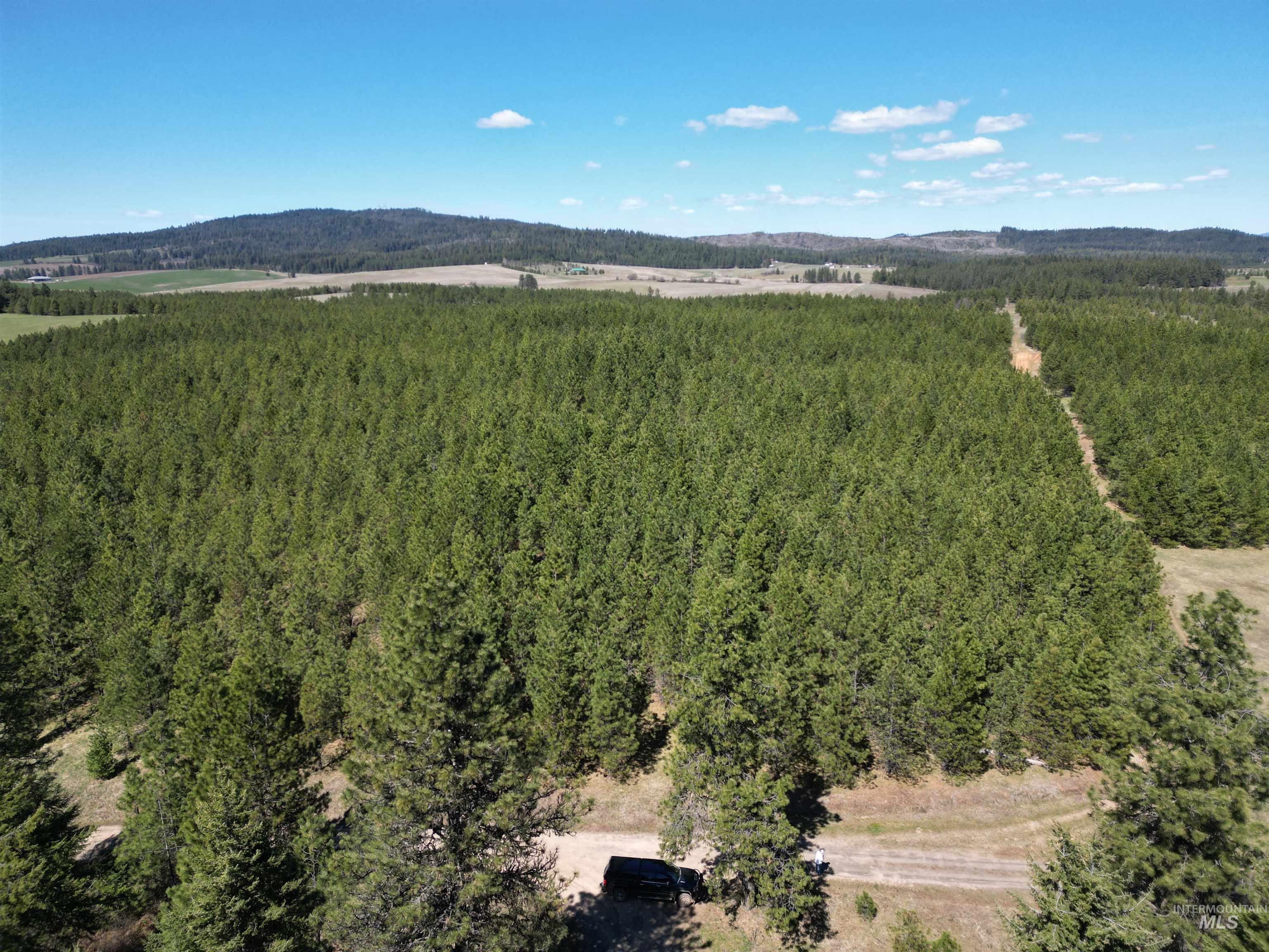Tbd Middle Road Ahsahka, ID 83520 - Photo 14 of 31