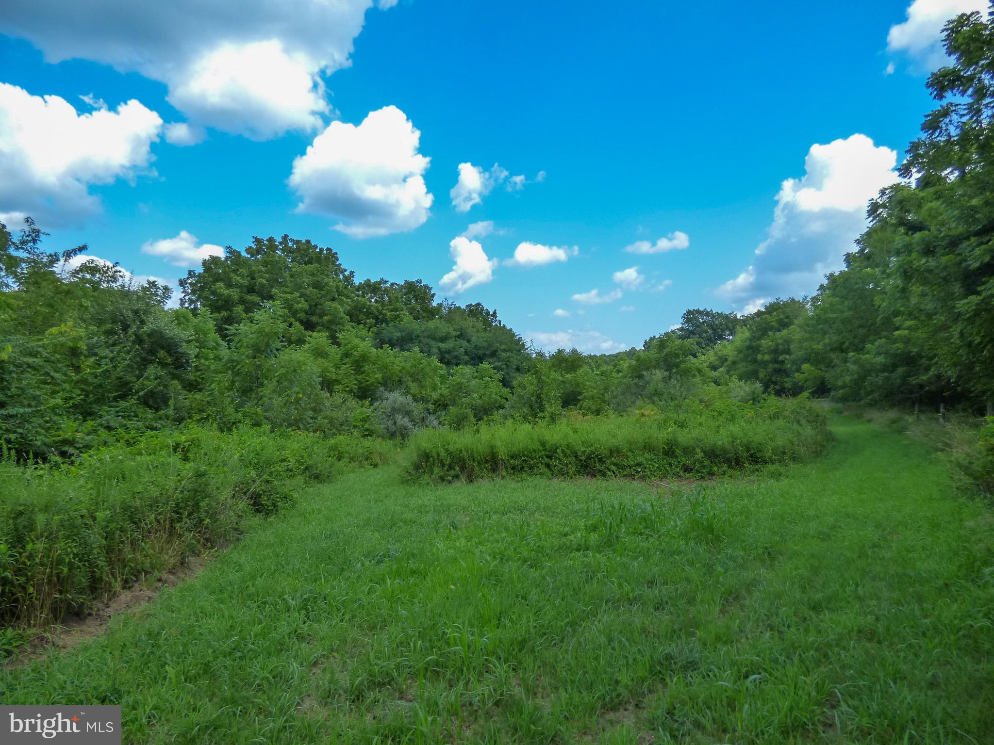 12305 High Point Road Felton, PA 17322 - Photo 56 of 58
