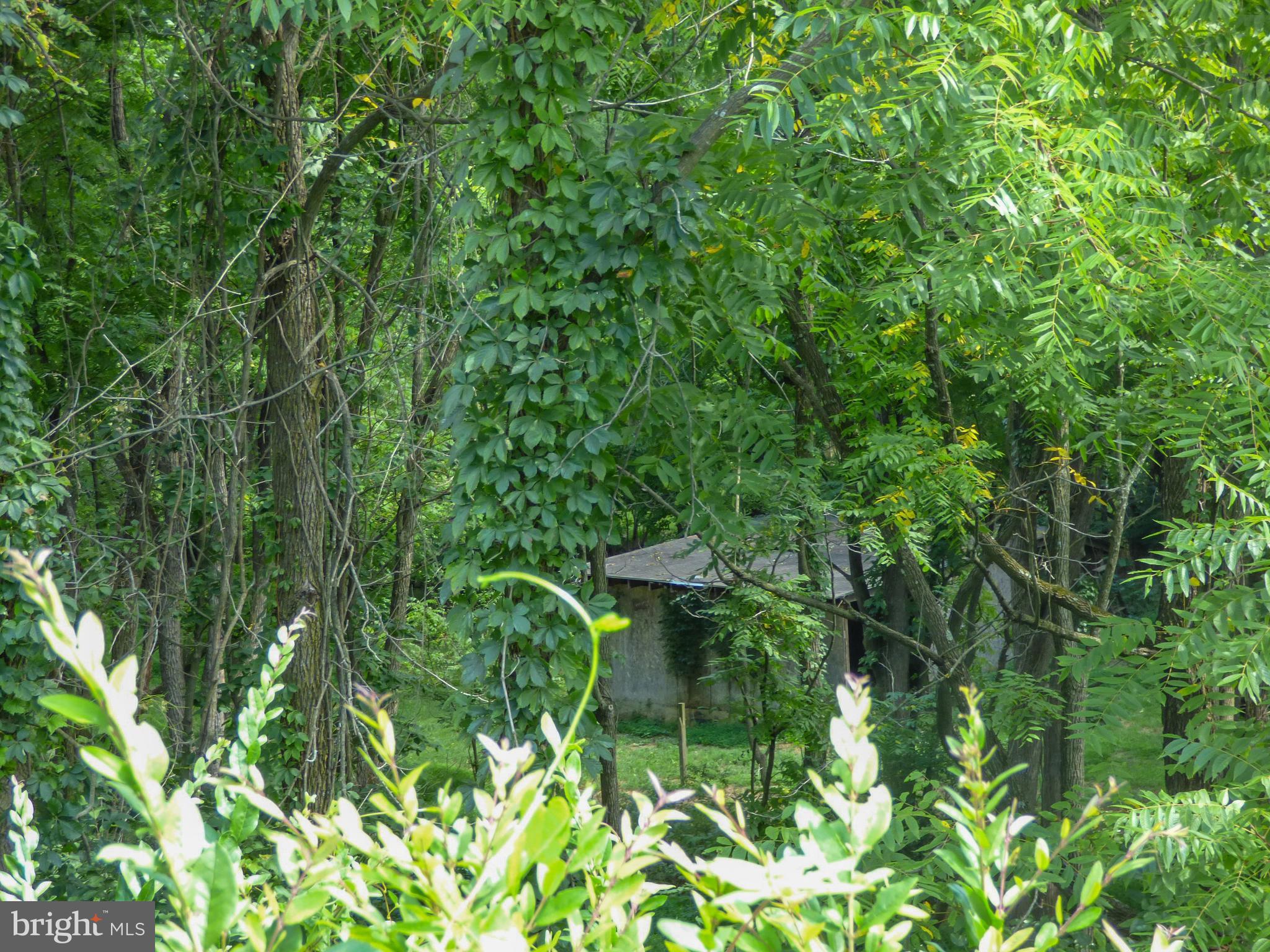 12305 High Point Road Felton, PA 17322 - Photo 57 of 58