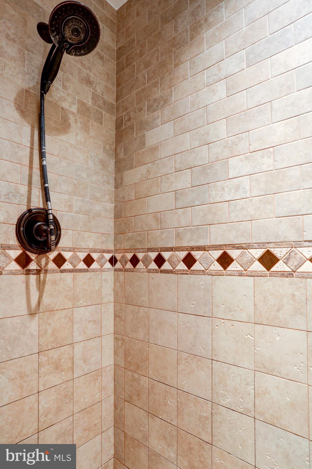 201 East Main Street Lititz, PA 17543 - Photo 40 of 78 Master Bath Walk-in Shower