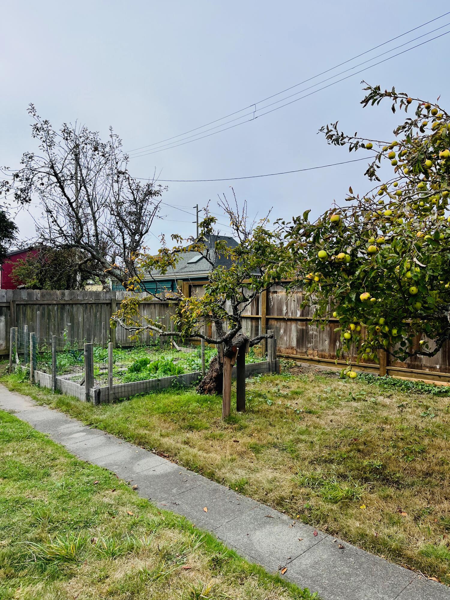 589 G Street Arcata, CA 95521 - Photo 47 of 53 Gallery Image 47