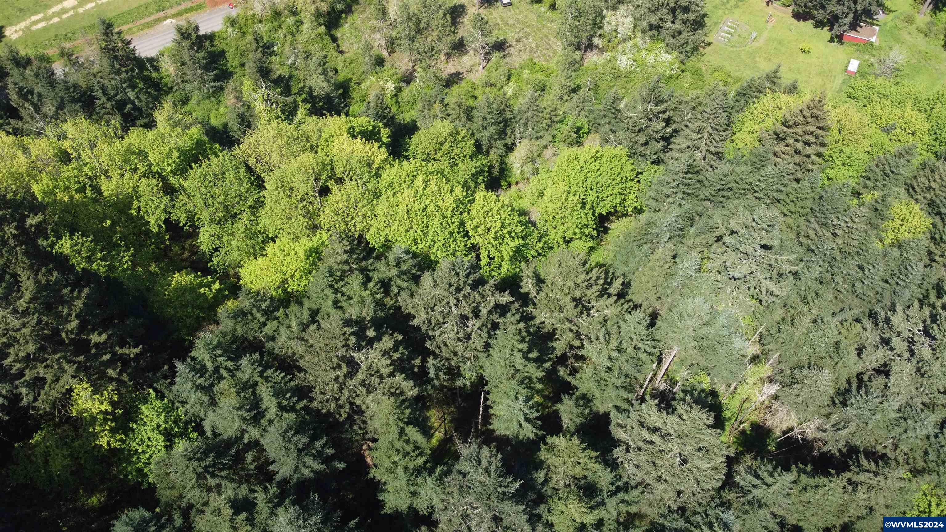 43458 Rogers Mountain Road Scio, OR 97374 - Photo 16 of 19