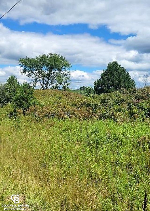 0 Brown City Road Imlay City, MI 48444 - Photo 5 of 10