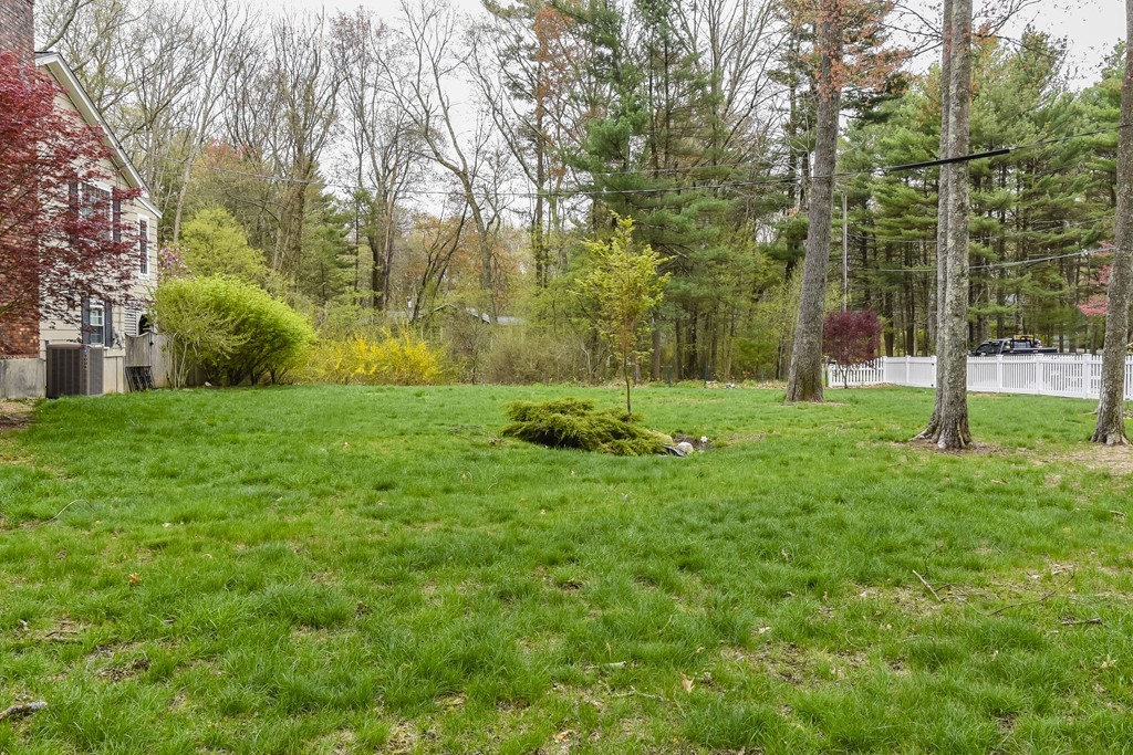 2 Alma Road Walpole, MA 02081 - Photo 24 of 27 Gallery Image 24